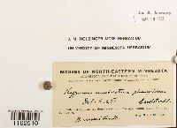 Image Associated With the Occurrence