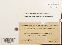 Image Associated With the Occurrence