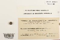 Image Associated With the Occurrence