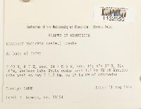 Image Associated With the Occurrence