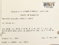 Image Associated With the Occurrence