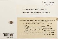 Image Associated With the Occurrence