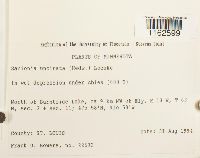 Image Associated With the Occurrence