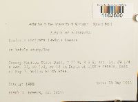 Image Associated With the Occurrence