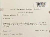 Image Associated With the Occurrence