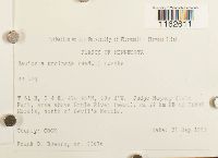 Image Associated With the Occurrence