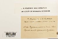 Sanionia uncinata image