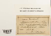 Image Associated With the Occurrence