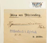 Image Associated With the Occurrence