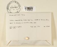 Rhizomnium punctatum image