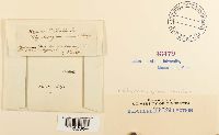 thumbnail image of current specimen