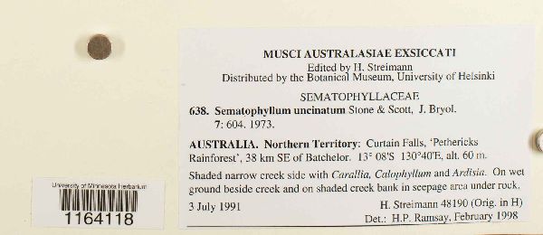 Sematophyllum uncinatum image