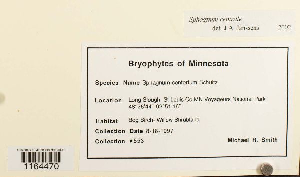 Sphagnum centrale image