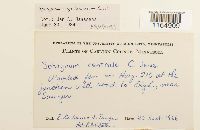 Image Associated With the Occurrence