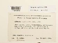 Image Associated With the Occurrence