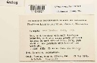 Image Associated With the Occurrence