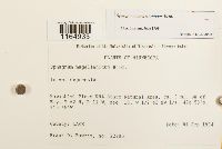 Image Associated With the Occurrence