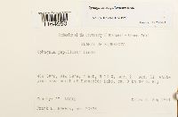 Image Associated With the Occurrence