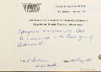 Image Associated With the Occurrence