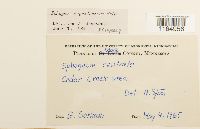 Image Associated With the Occurrence