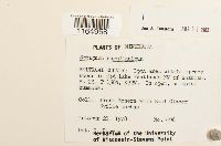 Image Associated With the Occurrence