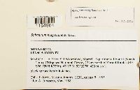 Image Associated With the Occurrence