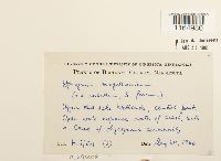 Image Associated With the Occurrence