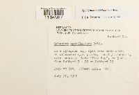 Image Associated With the Occurrence