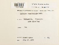 Image Associated With the Occurrence