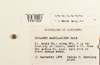 Image Associated With the Occurrence