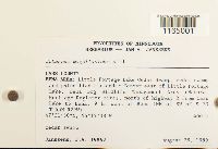 Image Associated With the Occurrence