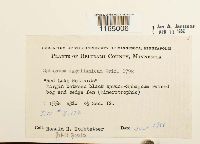 Image Associated With the Occurrence