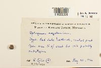 Image Associated With the Occurrence