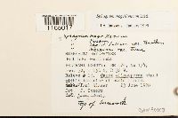 Image Associated With the Occurrence