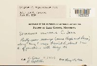 Image Associated With the Occurrence