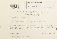 Image Associated With the Occurrence