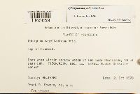 Image Associated With the Occurrence