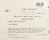 Image Associated With the Occurrence