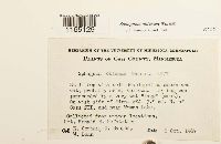 Media resource of Sphagnum obtusum