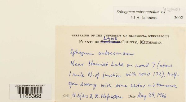 Sphagnum subsecundum image