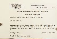 Sphagnum warnstorfii image