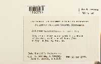 Image Associated With the Occurrence