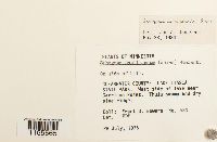 Image Associated With the Occurrence