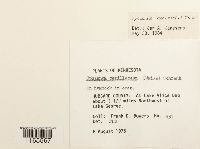 Image Associated With the Occurrence