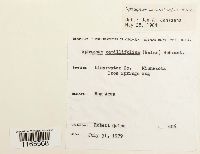 Image Associated With the Occurrence