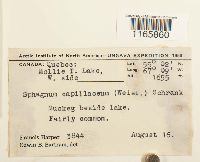 Image Associated With the Occurrence