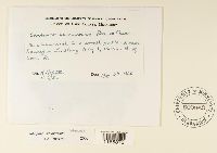 Sphagnum squarrosum image