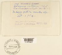 Image Associated With the Occurrence