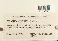 Sphagnum centrale image