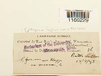 Media resource of Sphagnum fuscum